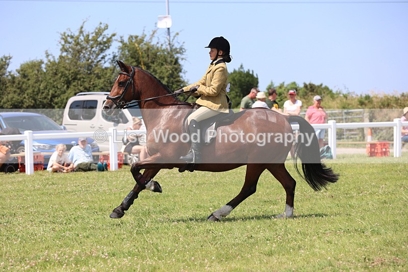 JPP_2998 - Class 22: Working Hunter 70cm