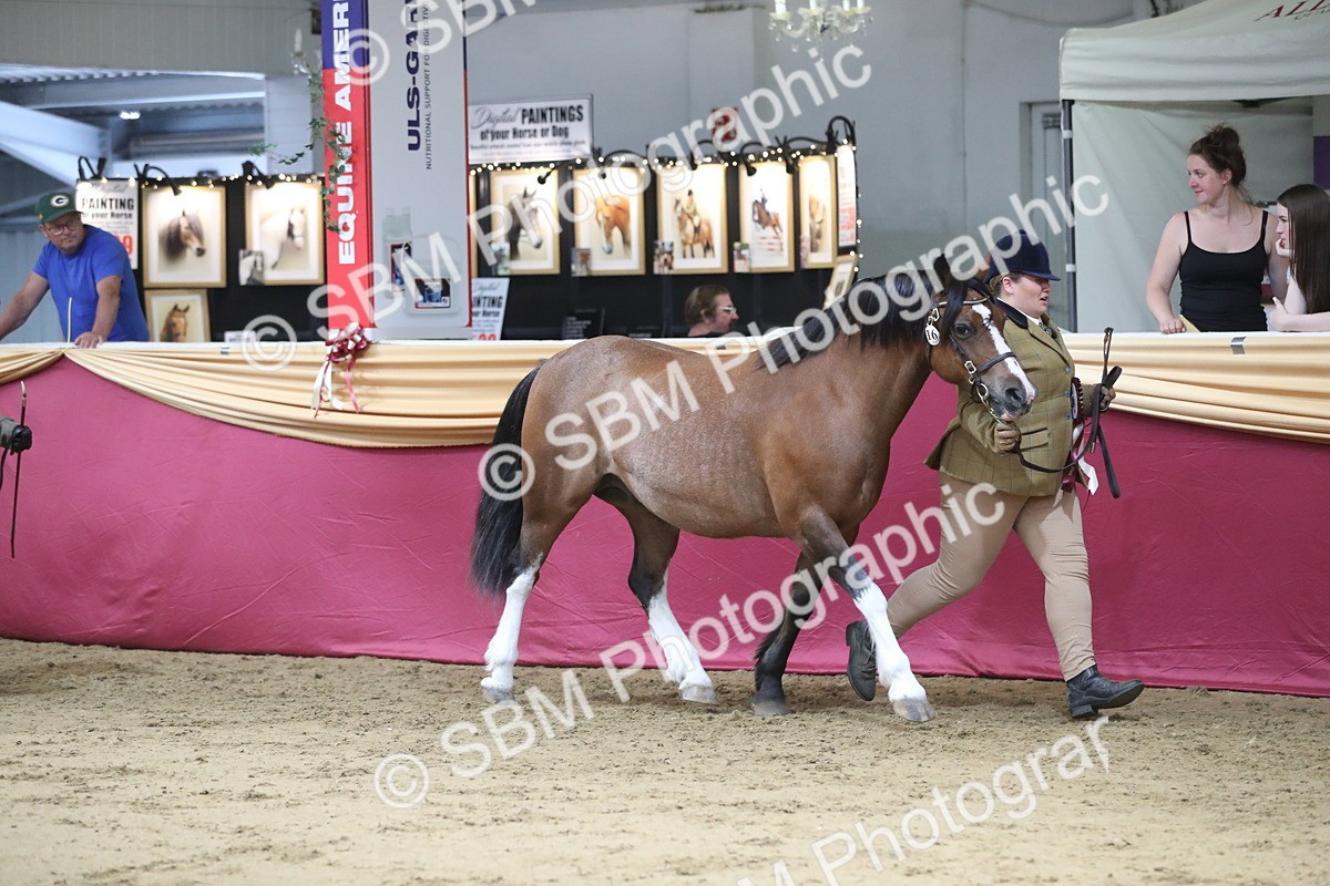 SBM_06496 - Class 9R Regional- IH Pre Vet