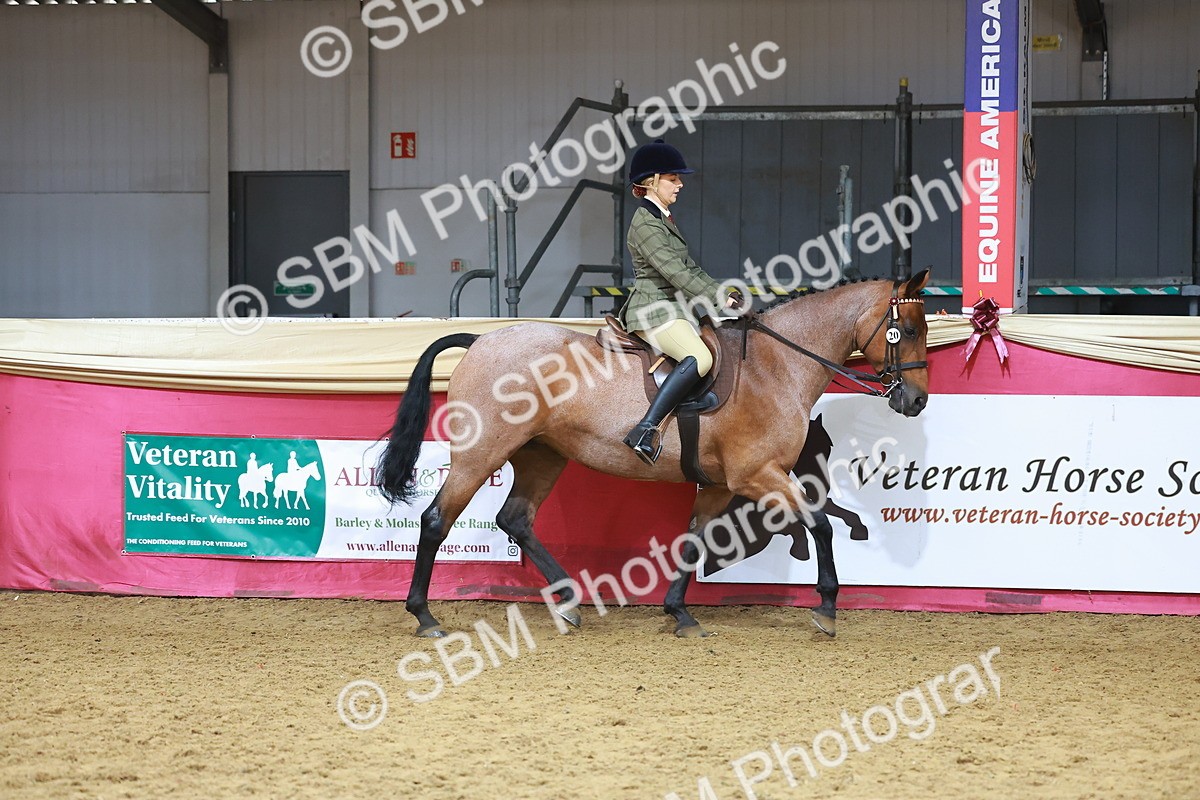 SBM_09397 - Class 102 - HOYS Veteran Qualifier - Ridden Veteran