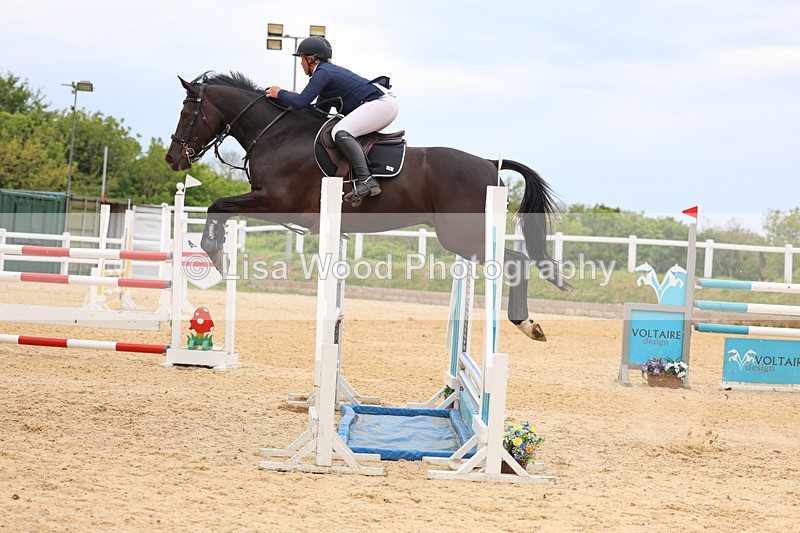 3E7A9565 - Class 9: Senior Foxhunter/1.20 open