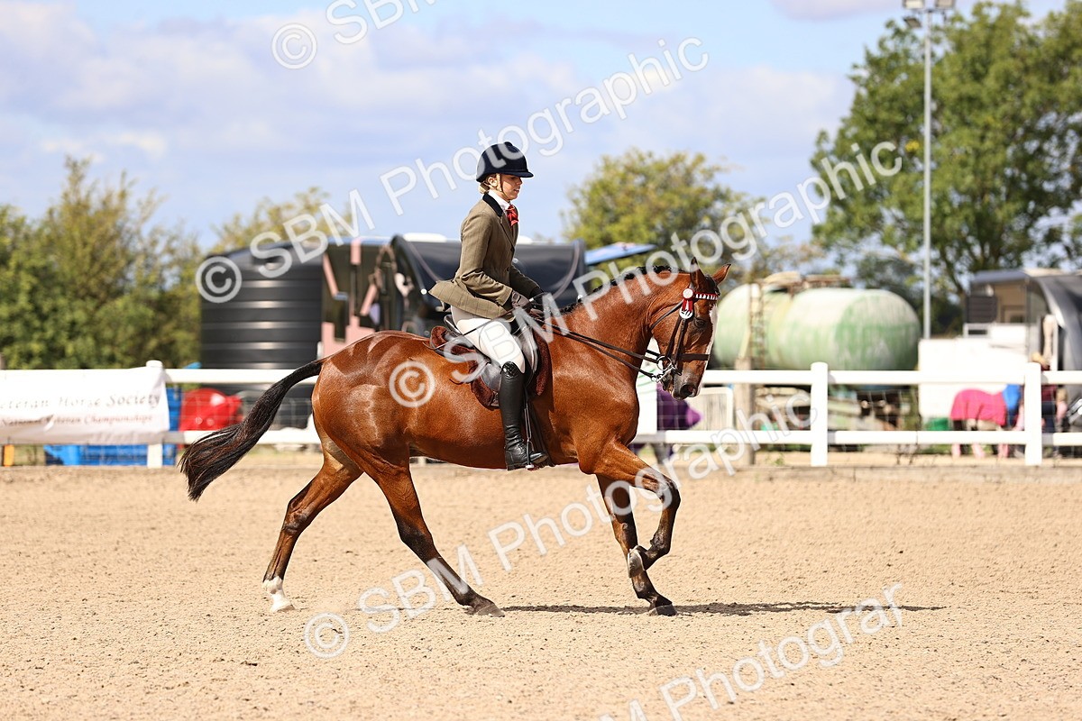 SBM_12919 - Class 410 - Grassroots Ridden - Horse