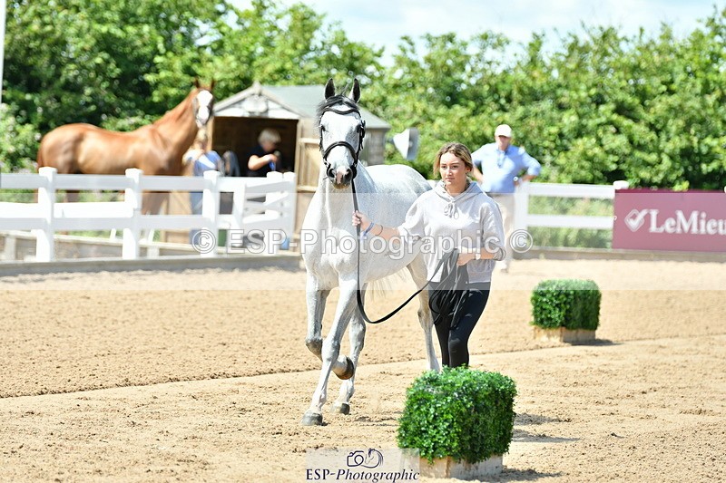 230719A-120537-00093 - Trot Up 12pm to 1pm