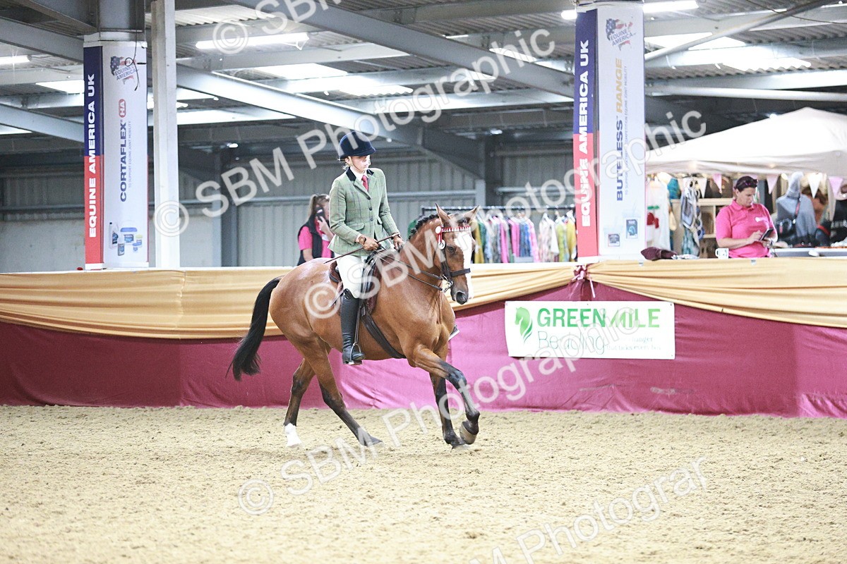 SBM_09051 - Class 12R - Regional Ridden Pre-Vet
