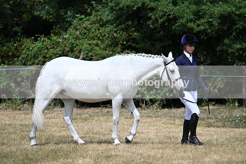 WJ7_1631 - Class 4 Prettiest Mare up to 14.2hh in hand