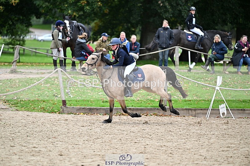 251005A-134905-04175 - Cls 09 Nov 80-85cm