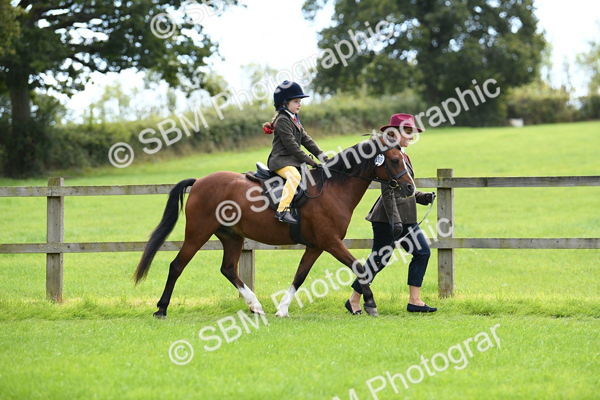SBM_42489 - S20 - Lead Rein Mountain & Moorland Pony