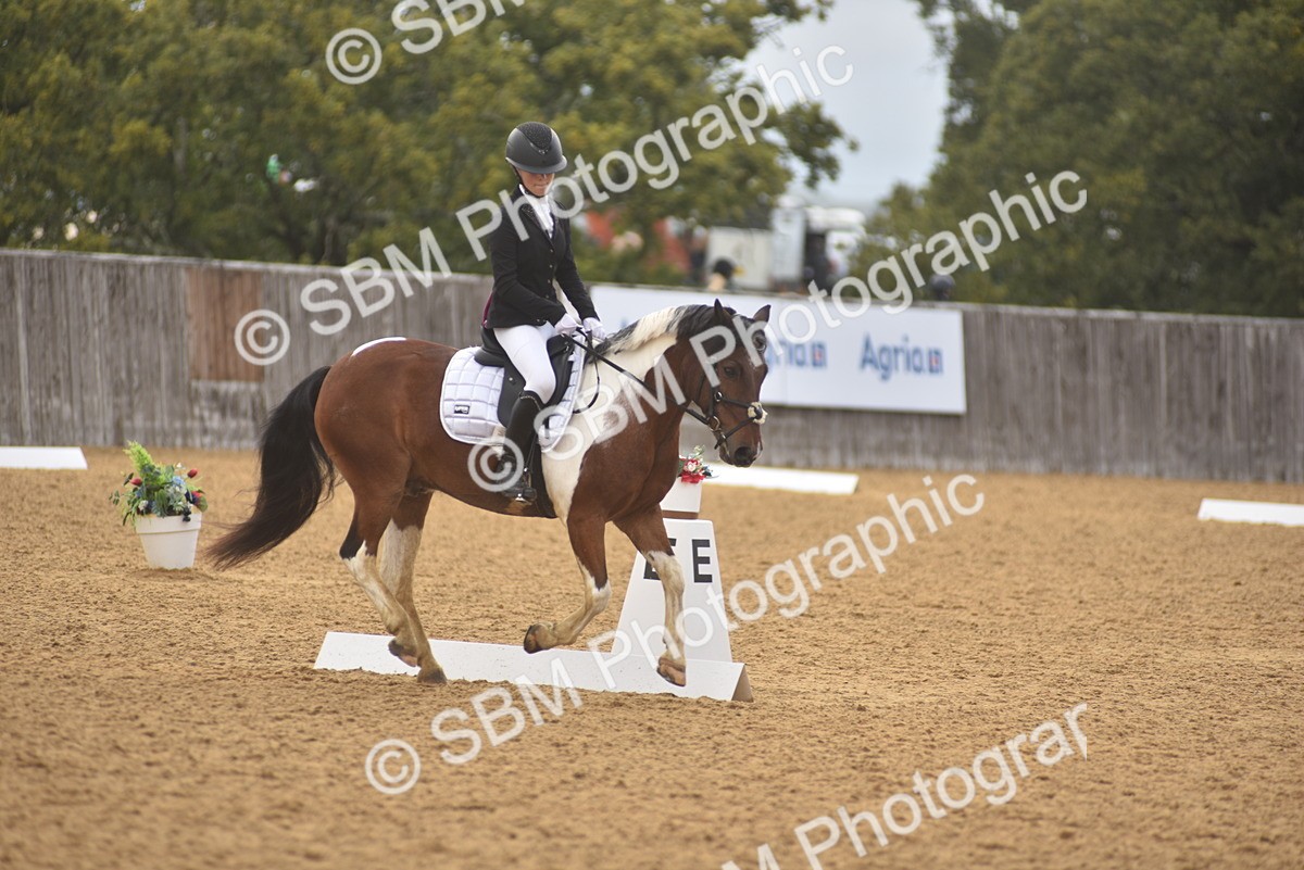 SBM_38691 - D14 - Grand Tour Championship Prelim 2