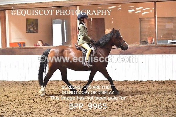BPP_9965 - RING 1