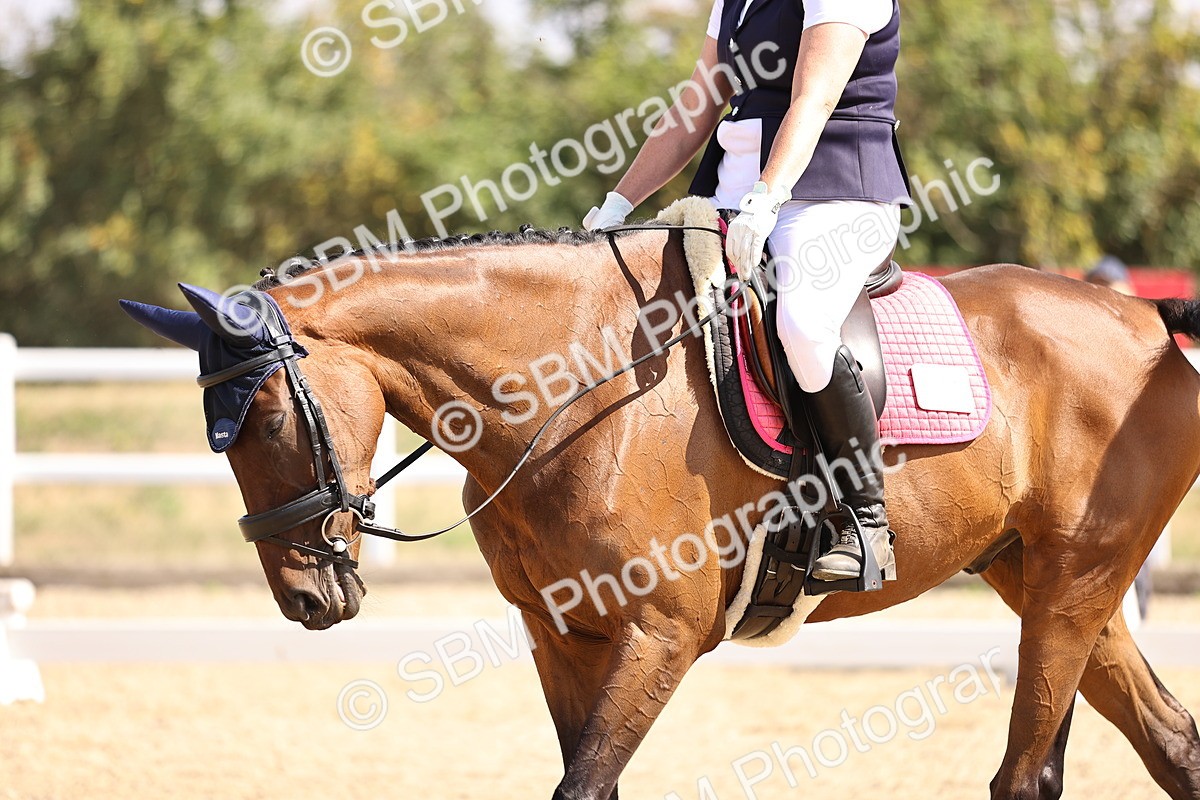 SBM_006510 - Intro 3 - 9.46-10.46