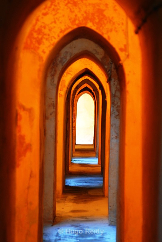  - Some Selected Images