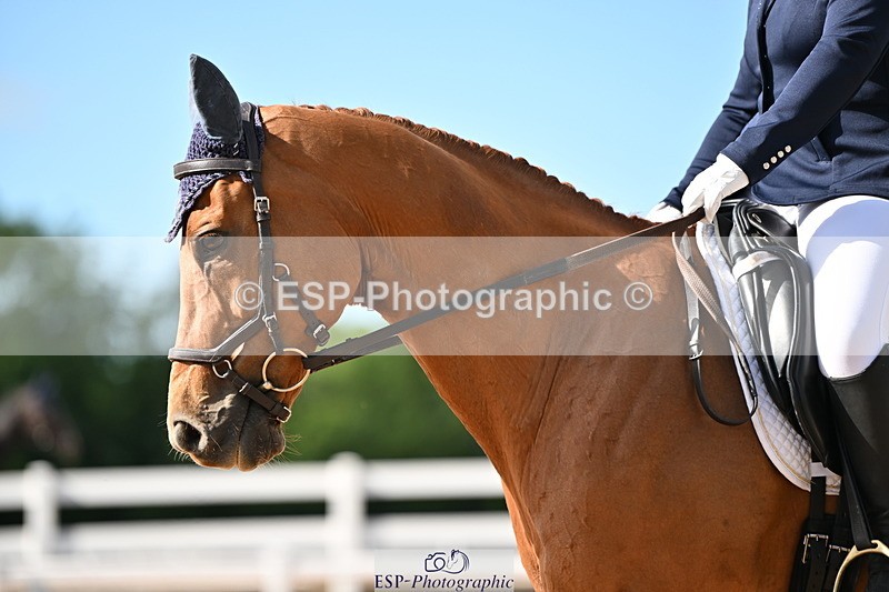 240622A-172627-15300 - Cls 7B+C Elementary 44 RoR