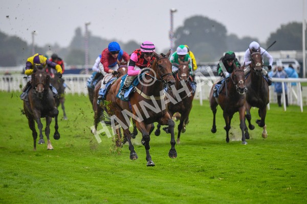 140723-Race 4-Andaleep-0388 - Race 4 3.50pm Azets Handicap