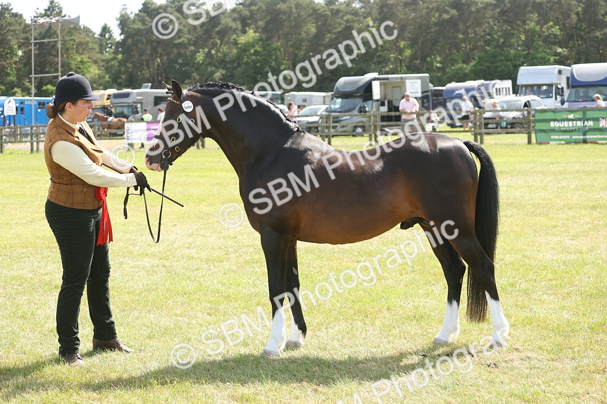SBM_09117 - Class 31-32 - SSADL Members Challenge