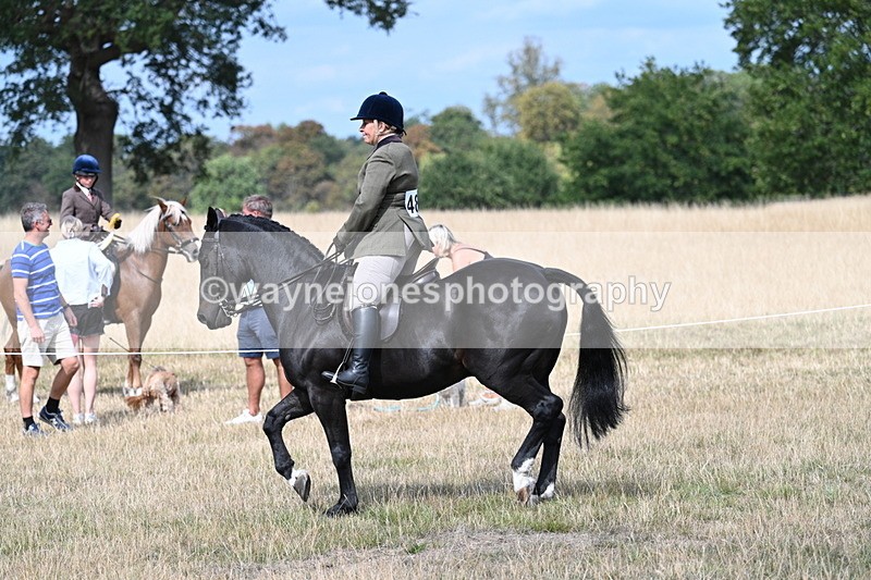 WJ7_5874 - Class 13 Ridden Veterans