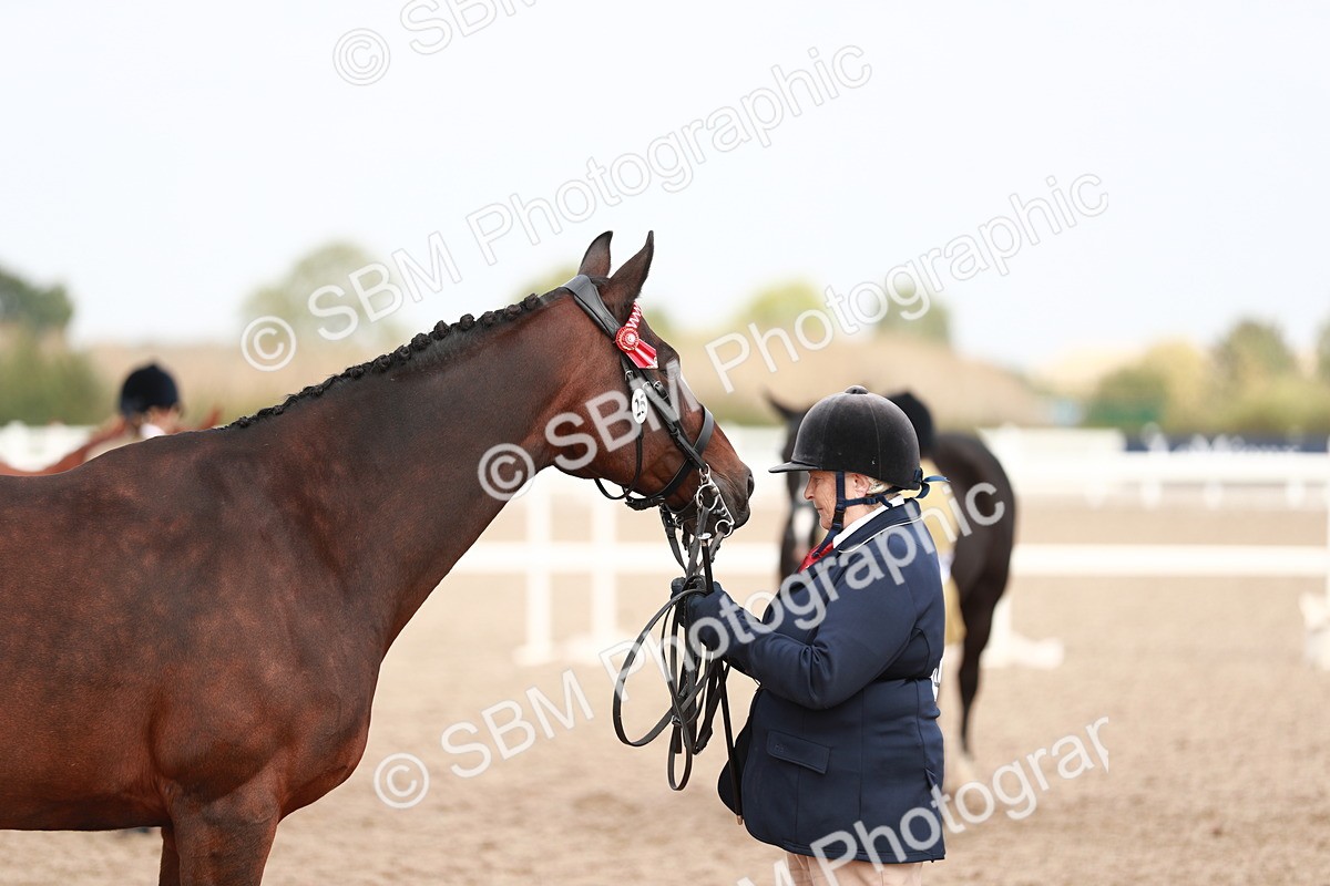 SBM_13265 - Class 208 IH Veteran Horse
