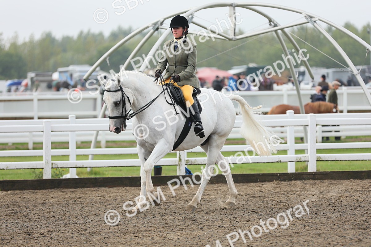 SBM_21298 - Class 805 - Ridden Veteran Horse