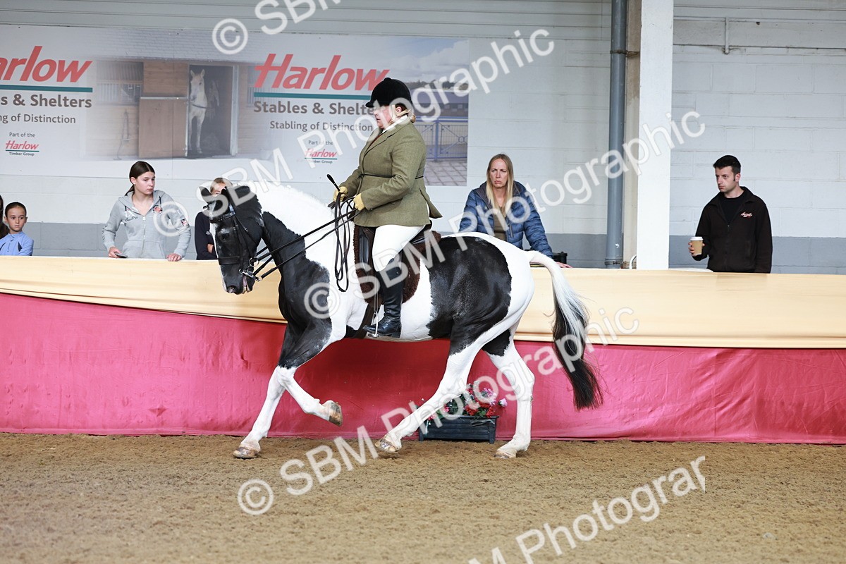 SBM_11853 - Class 102 - Equitation (Best Rider) Adult