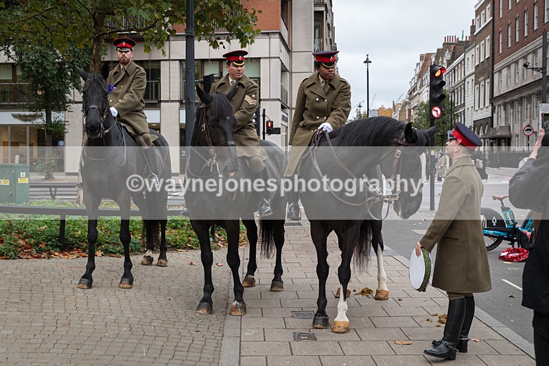 Z62_4525 - Animals In War Memorial 2025 - Park Lane, London