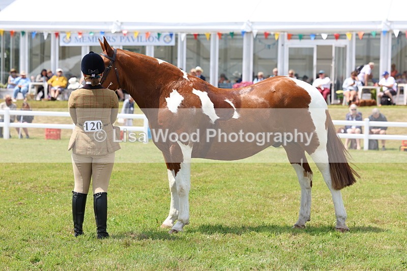 3E7A2114 - Class 10: Open Cob