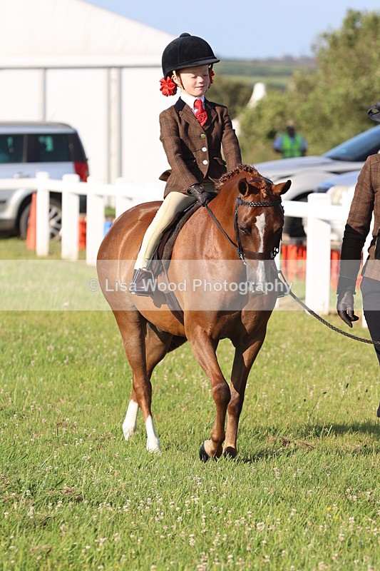 JPP_0658 - Class 16: Cornish Combination Leading Rein