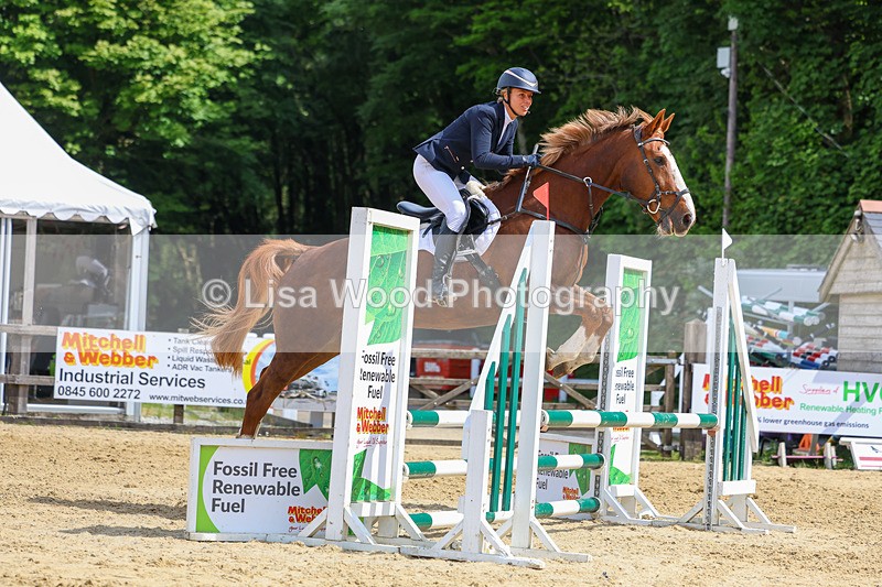 3E7A8772 - Class 4: Senior British Novice/90cm open