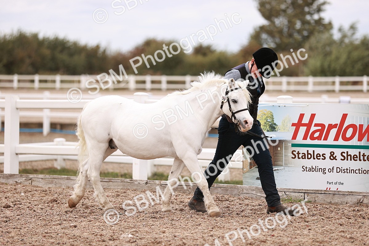 SBM_18554 - Class 421 - Childs Best Friend - Jnr