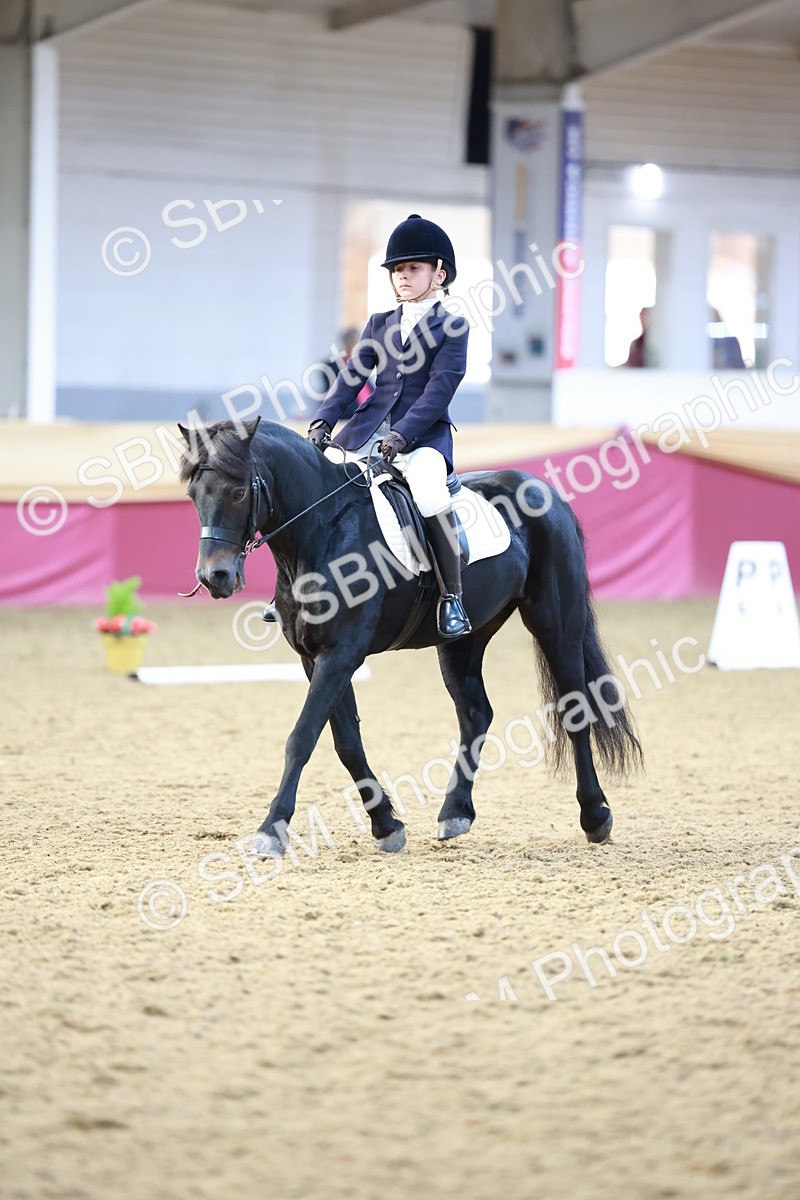 SBM_09215 - Class 61 - Dressage to Music
