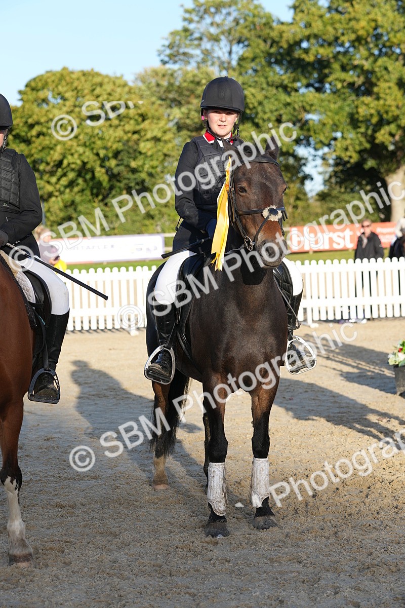 SBM_54053 - J8 - Junior Pony 65cm Championship