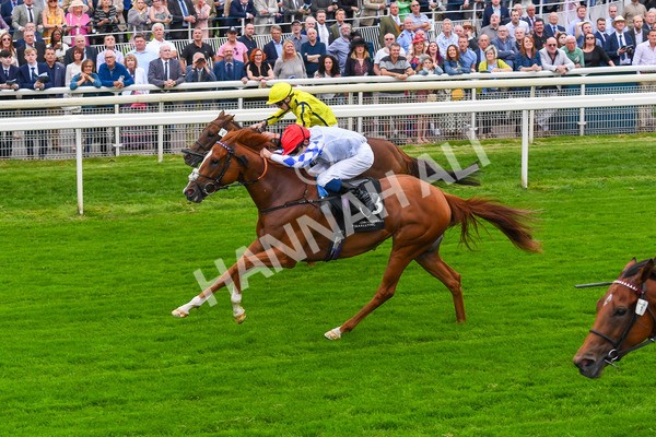 230823-Race 6-Designer-0805 - Race 6 4.45pm IRE Incentive, It Pays To Buy Irish Fillies' Handicap