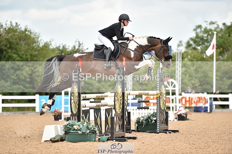 230720A-121150-02481 - Cls 13, 1 Star Bronze 1.10m