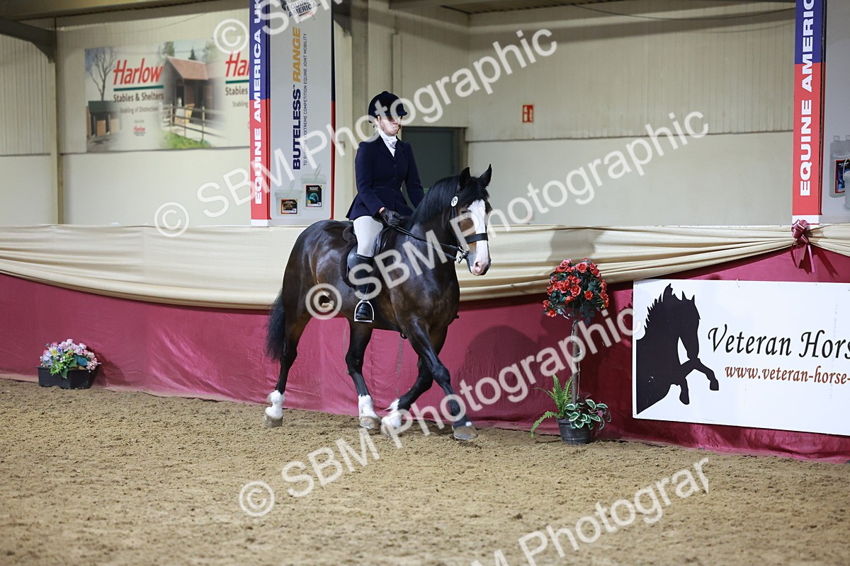 SBM_21338 - Class T - Working Veteran Champs