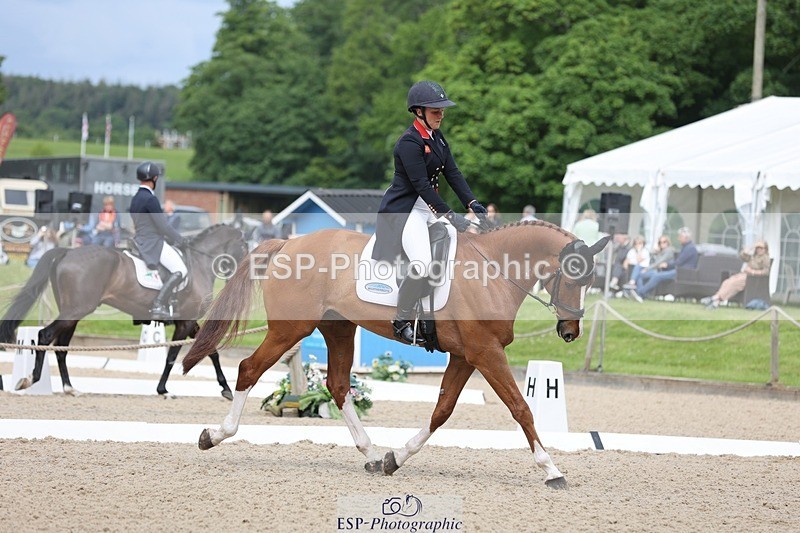 240524-103824-07467 - 263-CHILLI_MORNING_IV-Gemma_Stevens