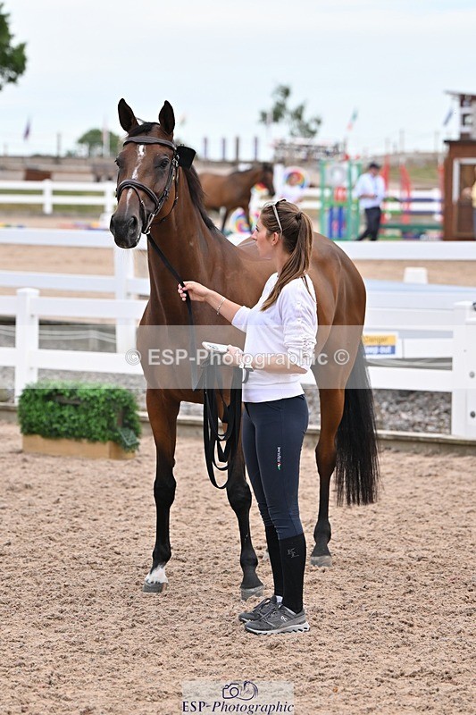 250716-141718-00993 - Trot Up 1.30 to 2.30