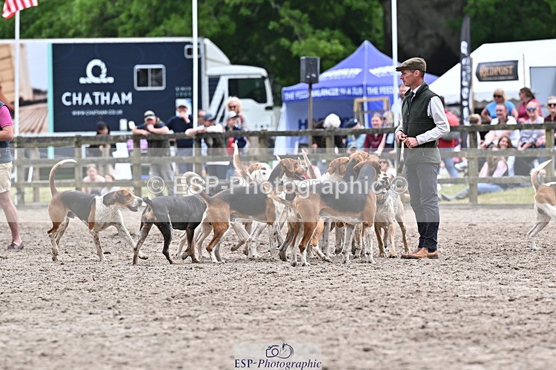 250524A-152342-12727 - East Devon Hounds