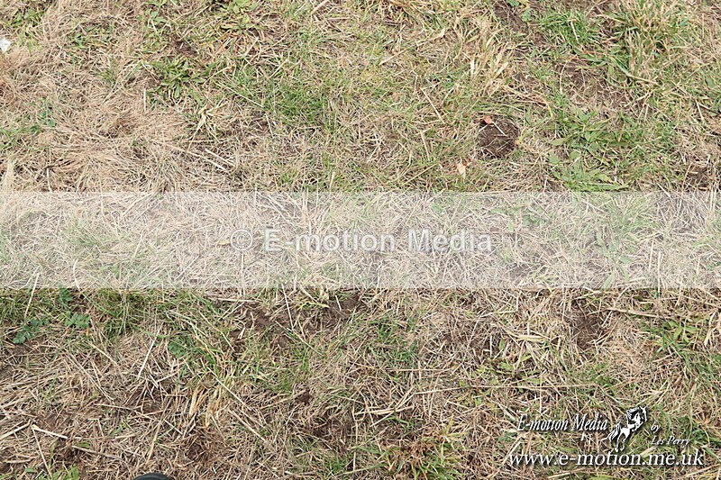 PtPres 160225140 - Presentations Combined Services PtP 16/02/25