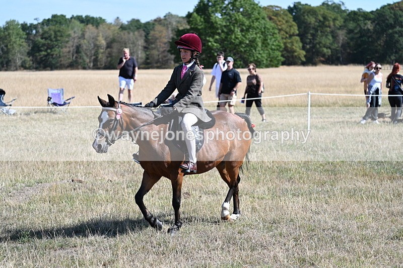 WJ7_4069 - Class 9 Mountain & Moorland Ridden