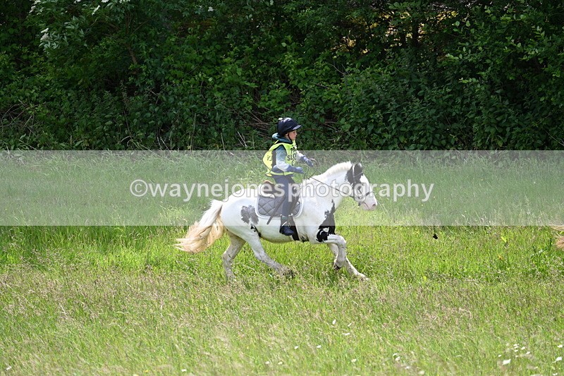 WJ7_8786 - Group 4 11am