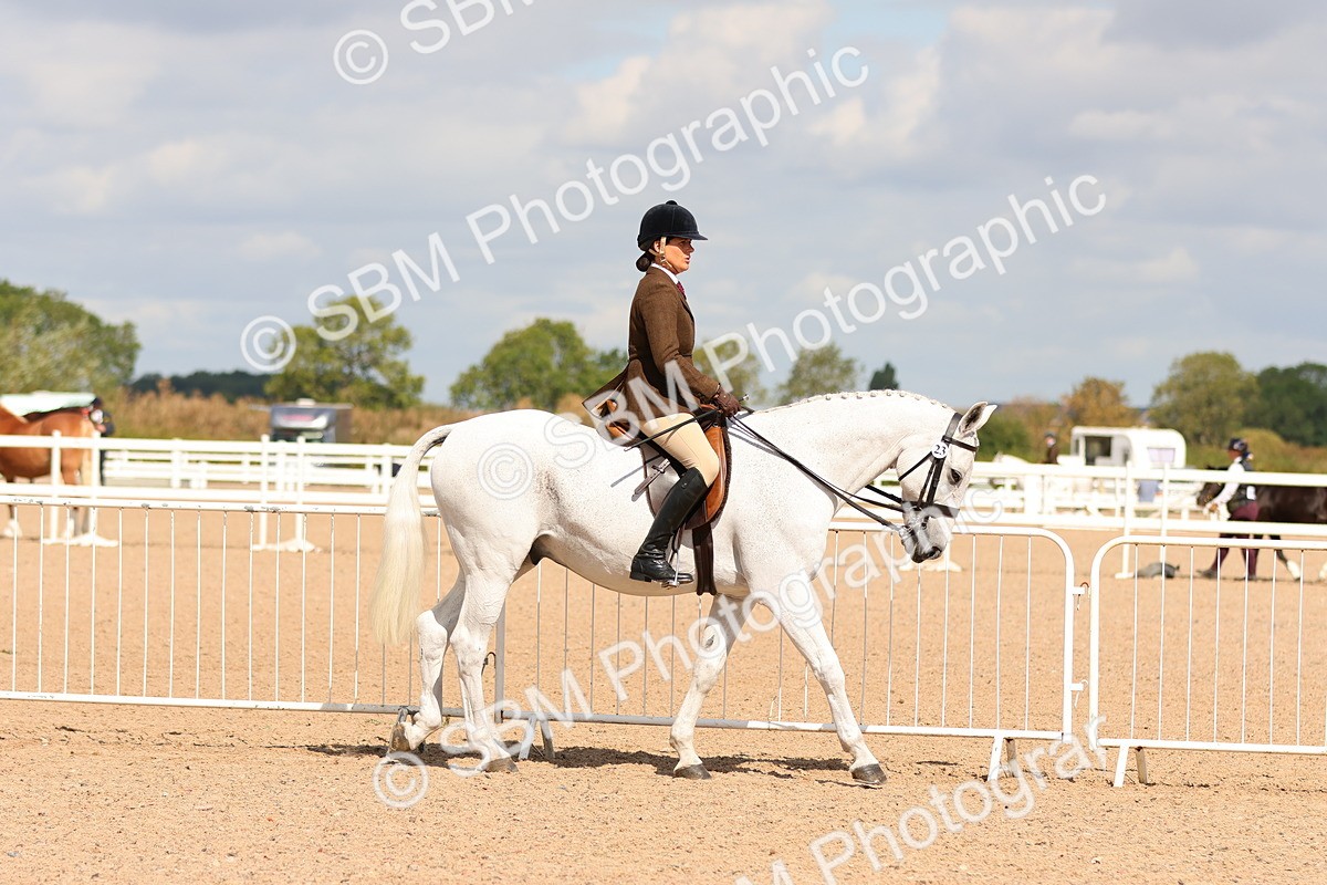 SBM_13180 - Class 211 - Ridden Hunter - Small
