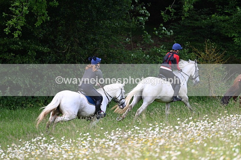 WJ7_8560 - Group 1 10am