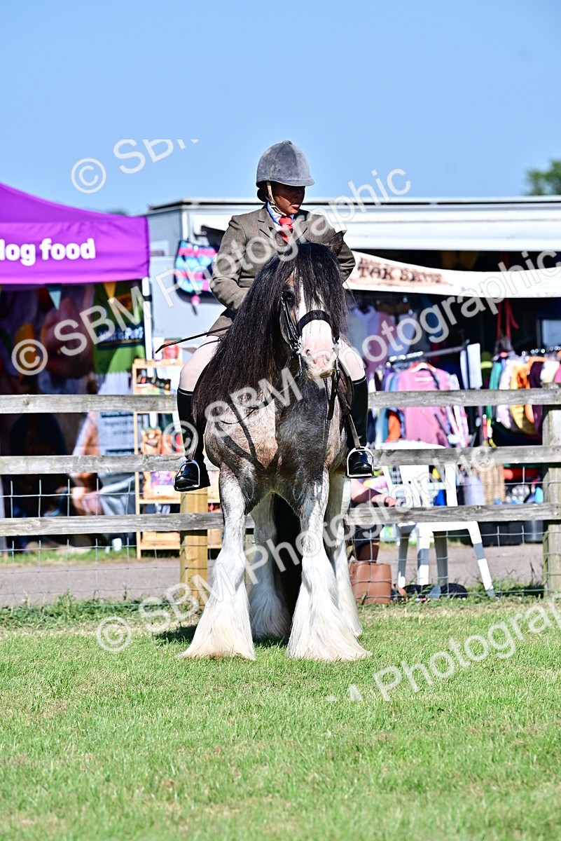 SBM_19444 - Class 101-102 - BSPS LIHS Performance Coloured Horse/Pony