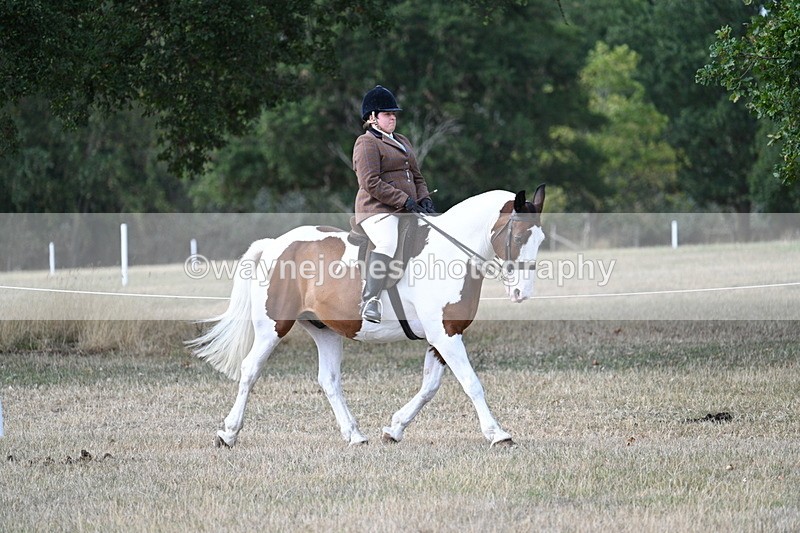 WJ7_6825 - Class 14 Ridden Coloured