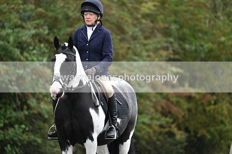 WJ7_3208 - Time 09:54 to 10:54