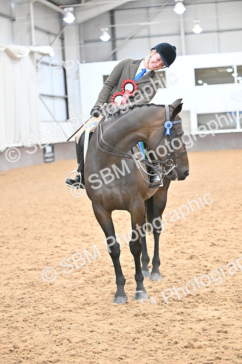 SBM_002758 - Ridden Showing Supreme Championships