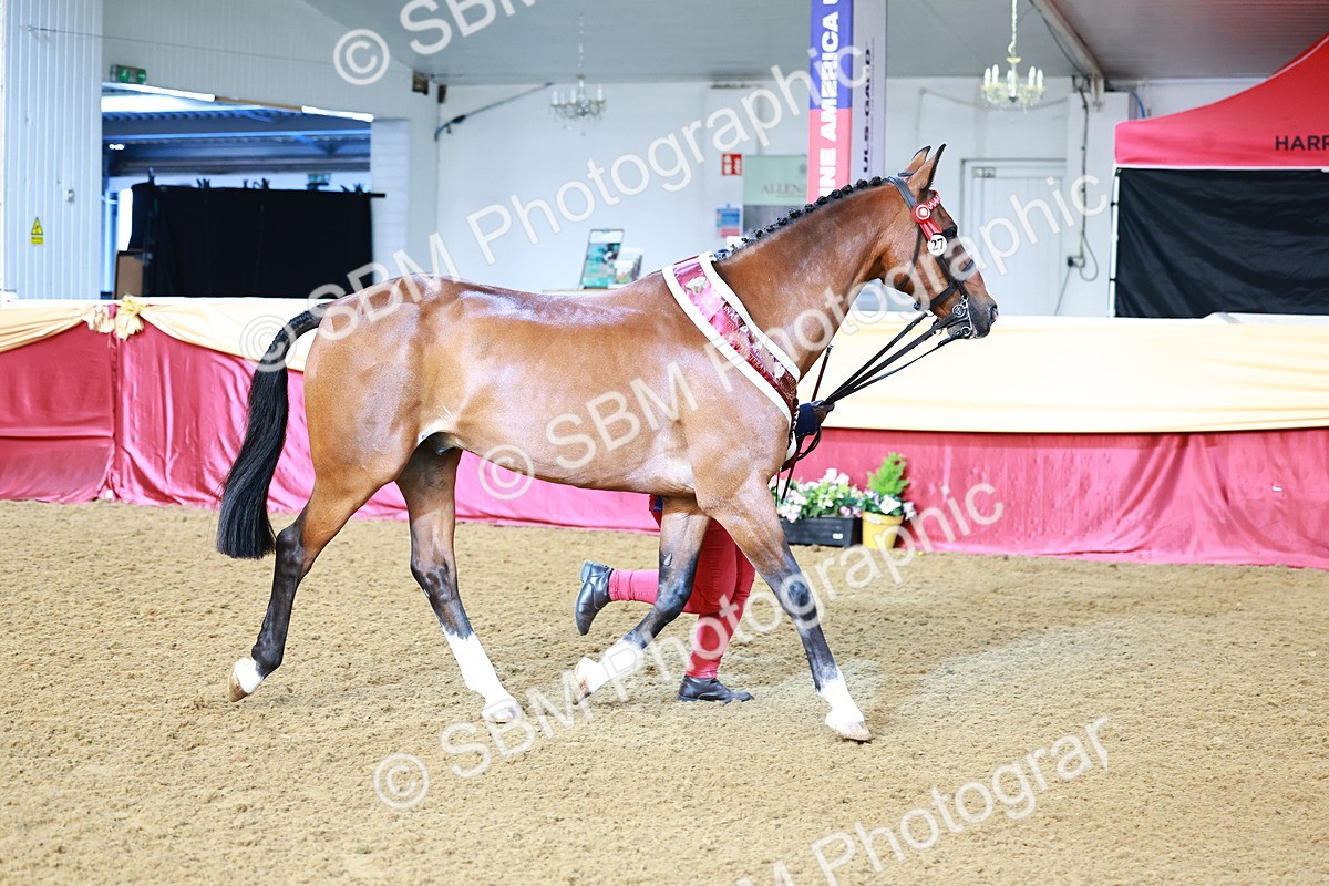 SBM_21939 - Class 901 - Supreme Final - IH  Diamond