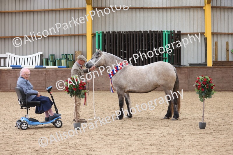 20251109-1240 - Supreme Championship