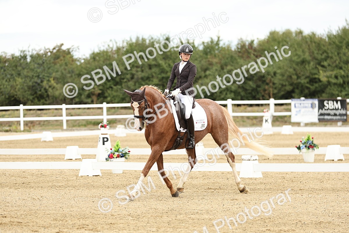 SBM_006555 - Class 21 - Medium 5 Bronze - 9.08-9.48