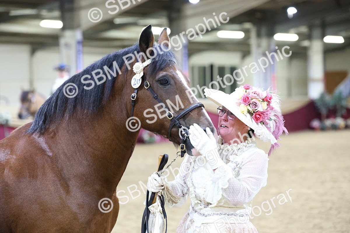 SBM_21494 - Class U - Costume Confour Champ