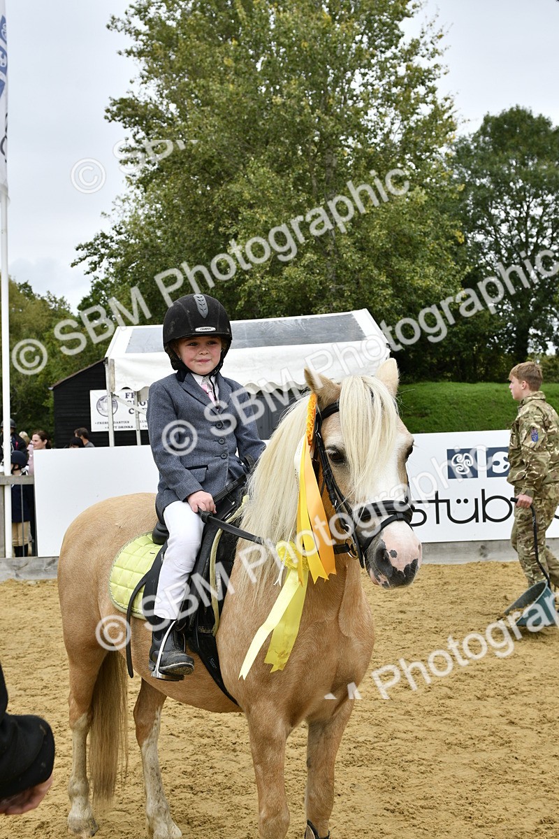 SBM_66256 - J2a mini Tour Junior Pony 30cm Championship