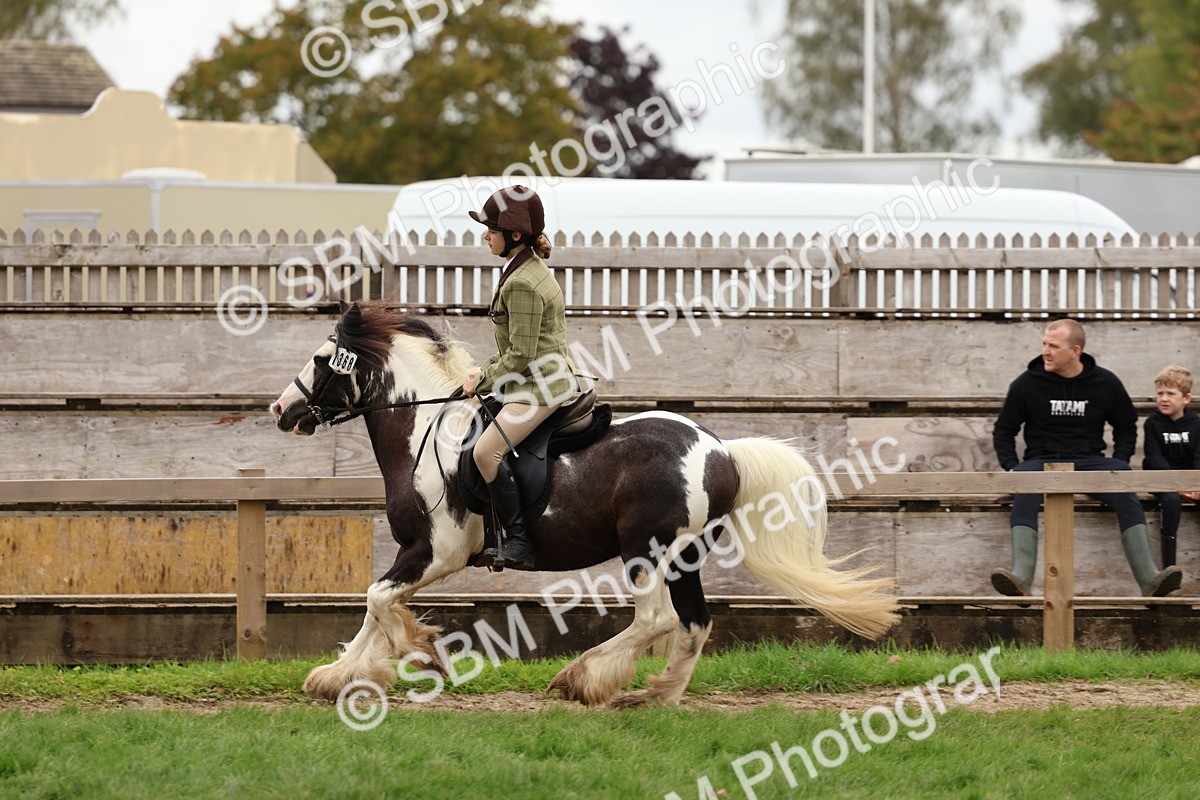 SBM_64544 - S58 - Coloured Pony Ridden