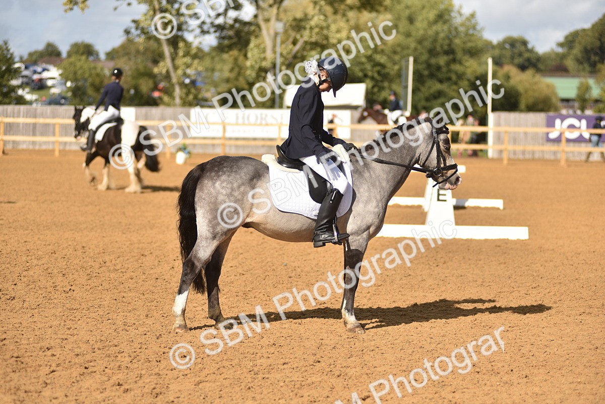 SBM_48824 - D22 - Junior Championship Intro 3